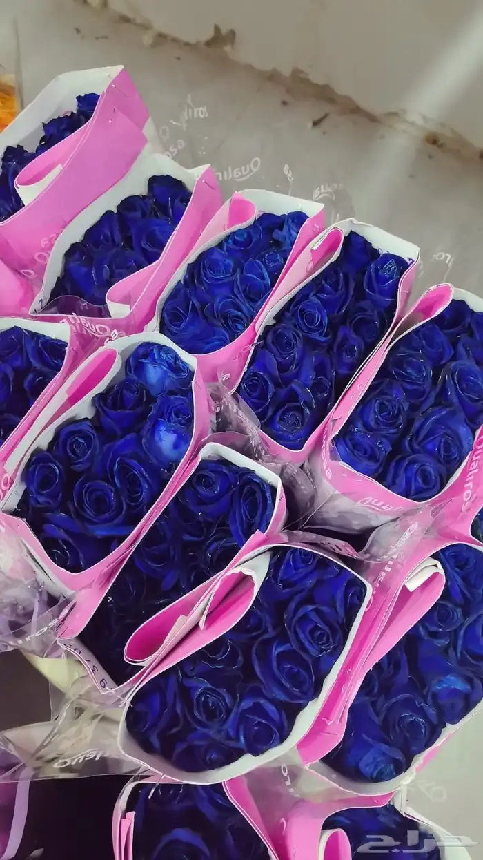 ورد جوري ازرق 0