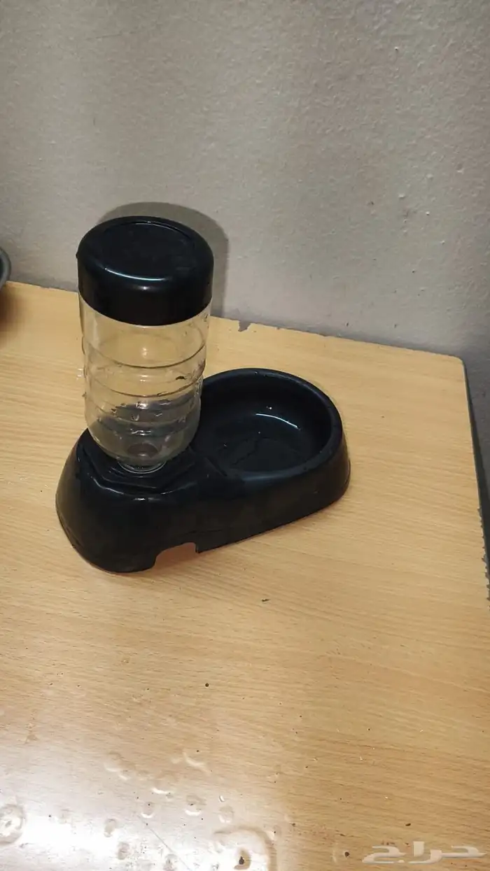 مستلزمات قطط 2