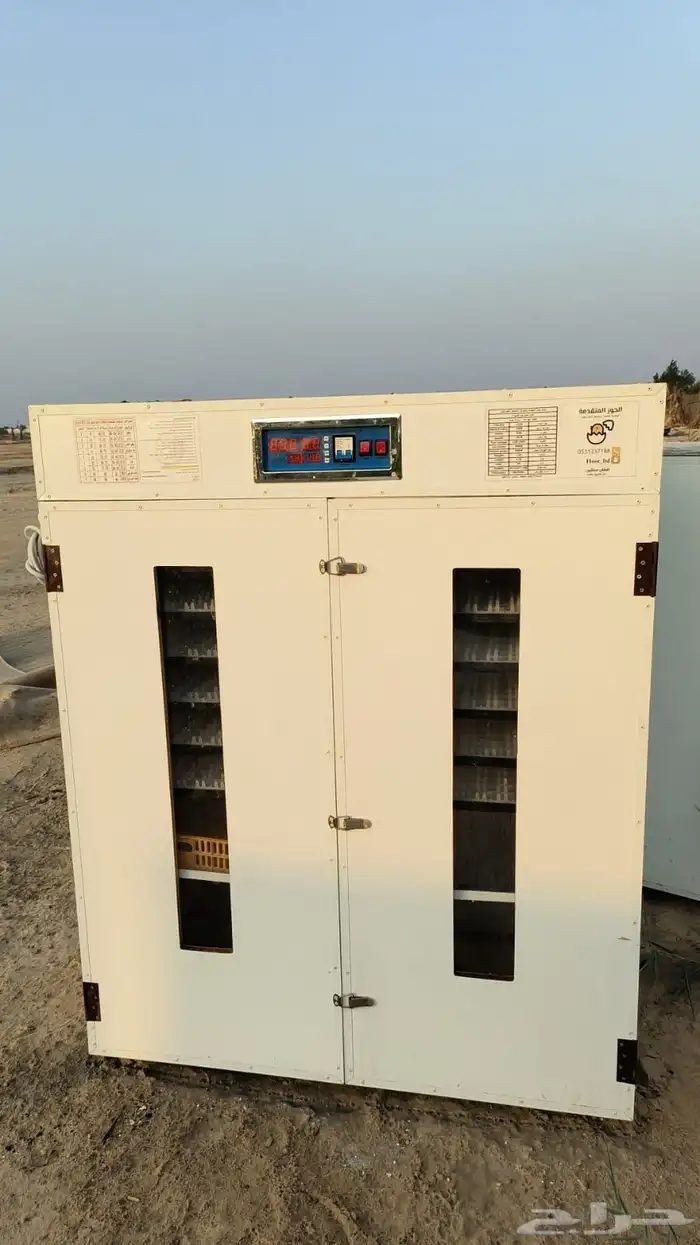 فقاستين 1