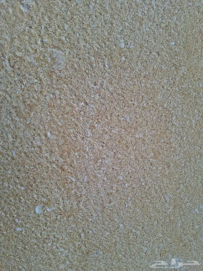 حجر بالميرا سوري نخب أول 7