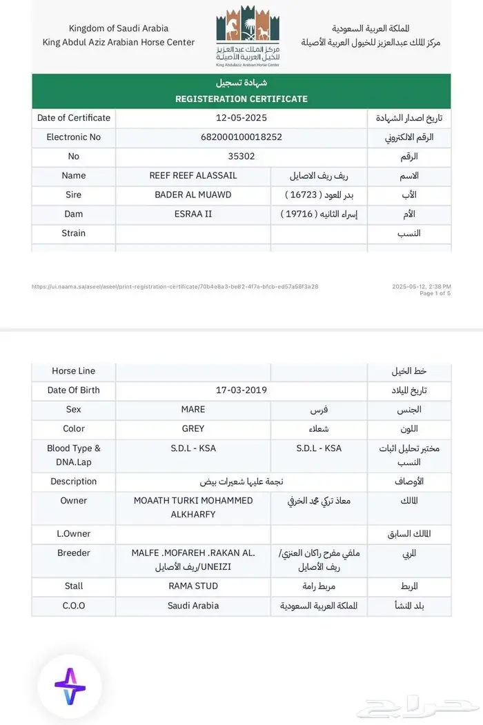 فرس واهو شيخه 2