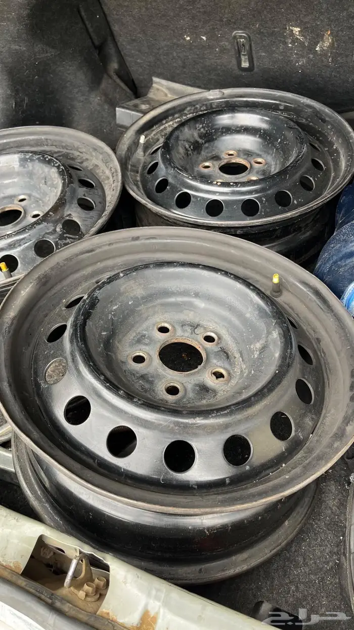 جنوط كورلا سوح بيع في اسرع وقتت 1