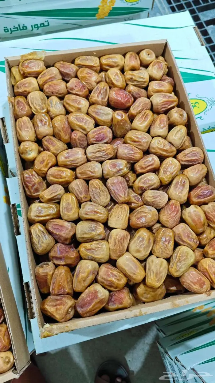 سكري مفتل حبه طيبه متوفر كميات جمله 3 كيلو 1