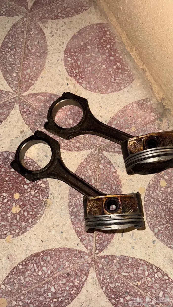 بساتم و ذراع سكويا 0