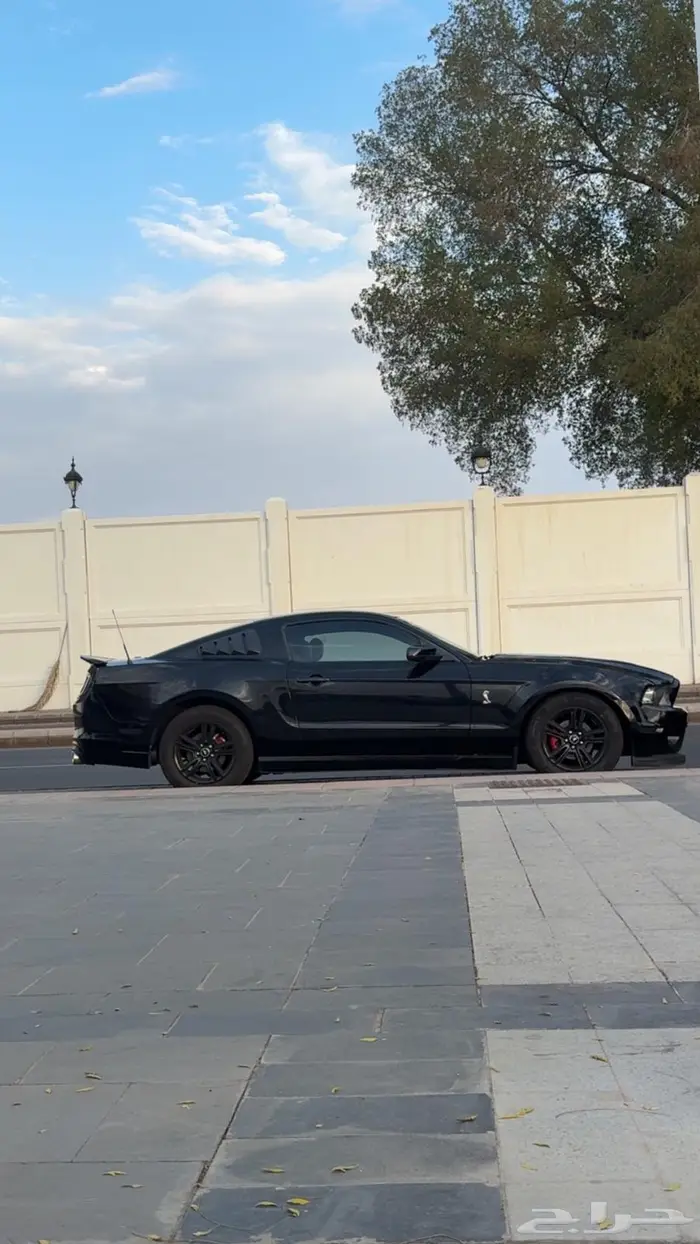 موستنج v6 2010 2