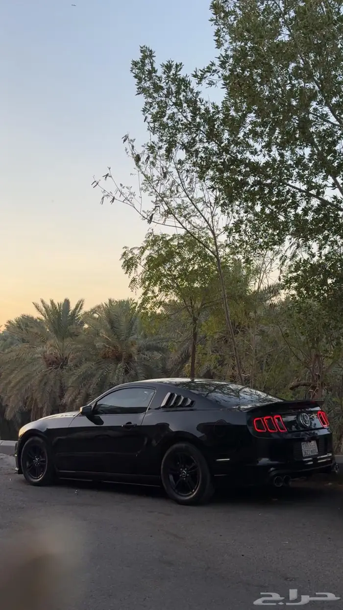 موستنج v6 2010 1