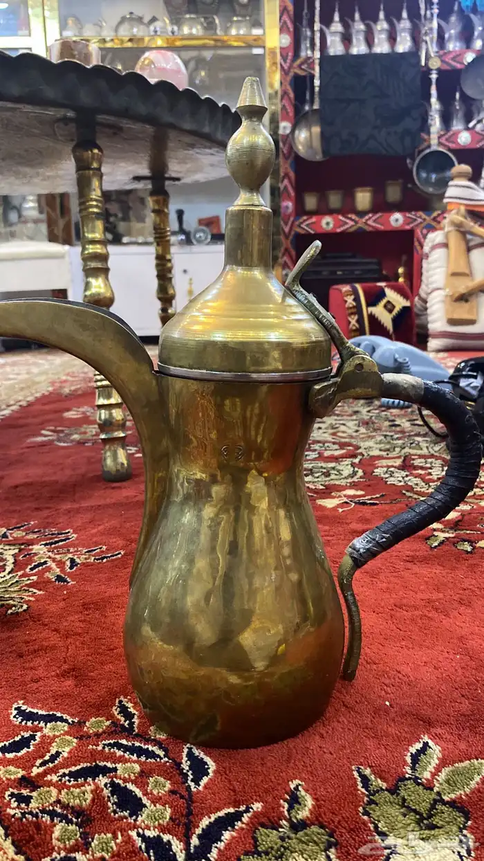 دلال محمود رسلان 2