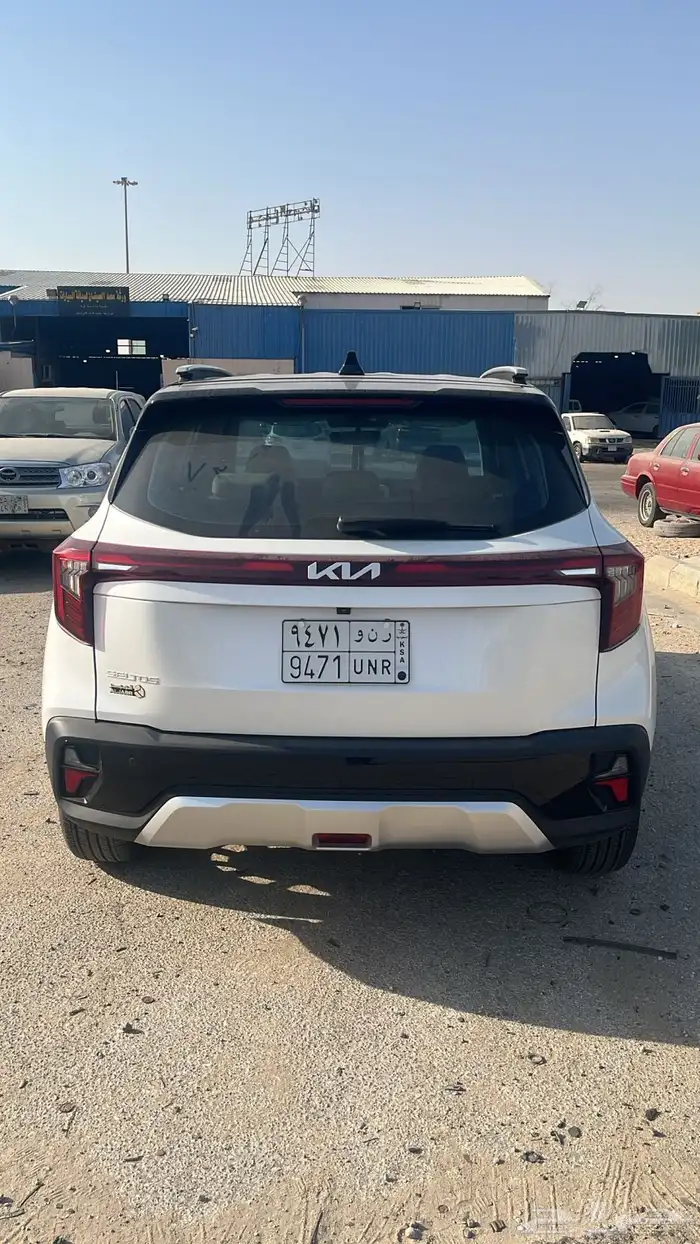سيلتوس 2024 2