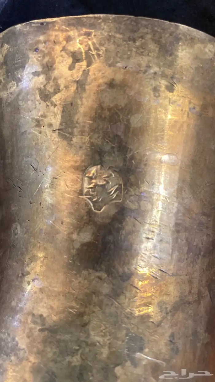 دلال محمود رسلان 7