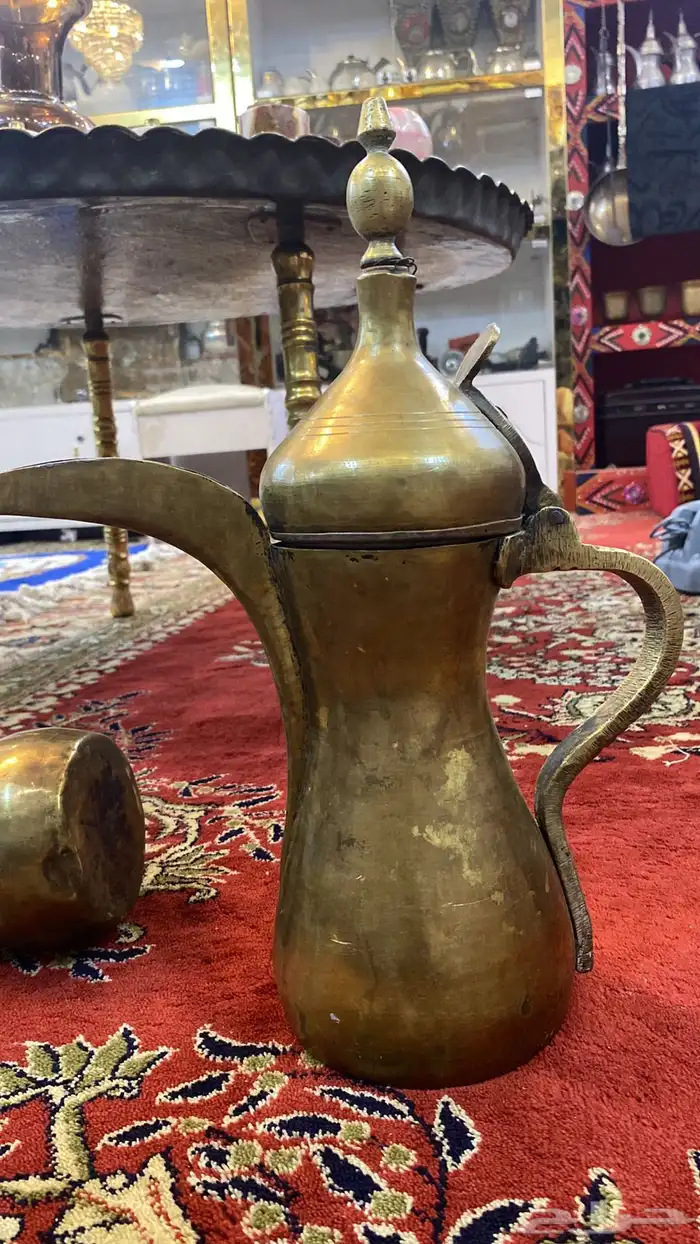 دلال محمود رسلان 6