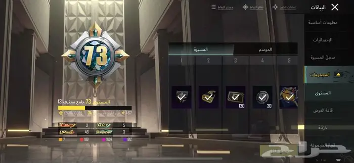 حساب ببجي العالميه 1