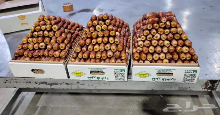 تمر صقعي للبيع 0