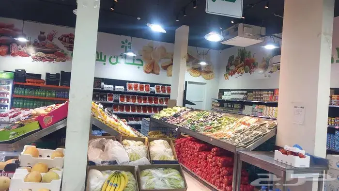 محل خضار حي البيان 0