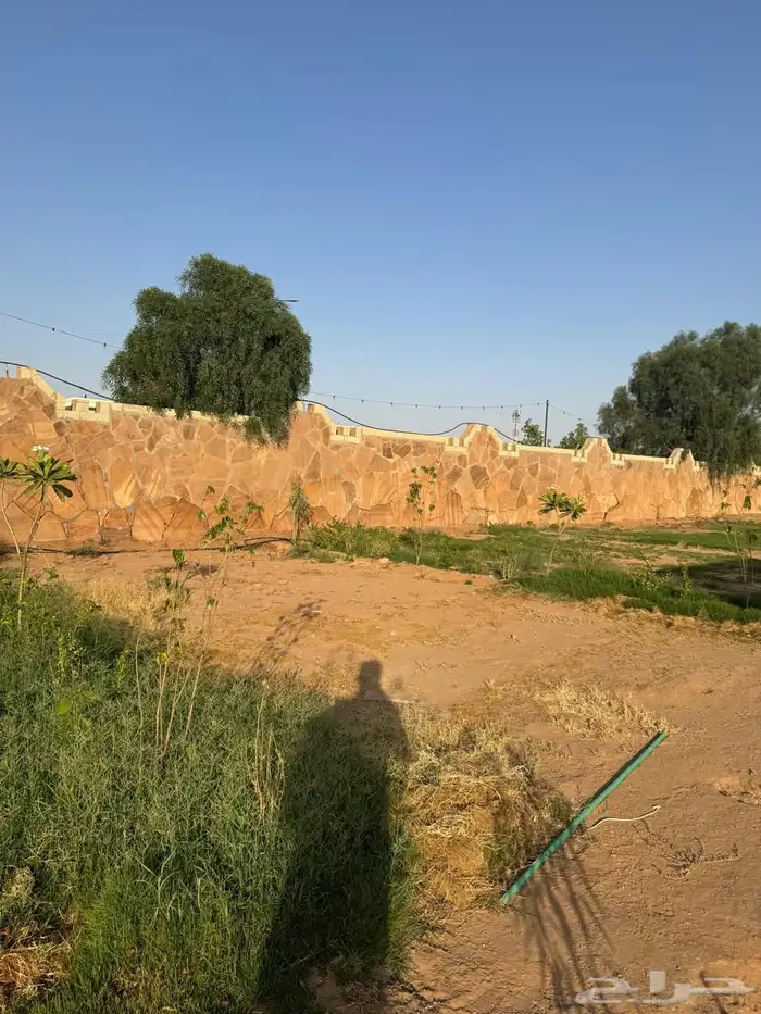 موقع درايف ثرو للبيع مع جلسات 2