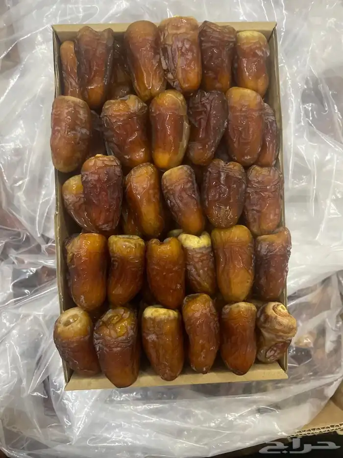 تمر برني للبيع 0