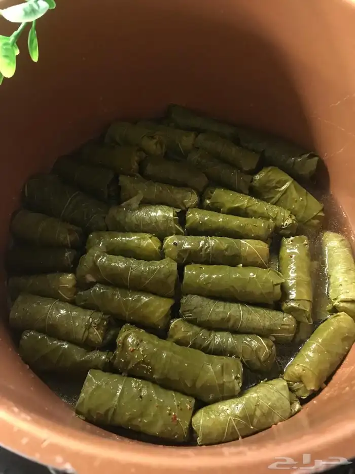 ورق عنب عنبه 5