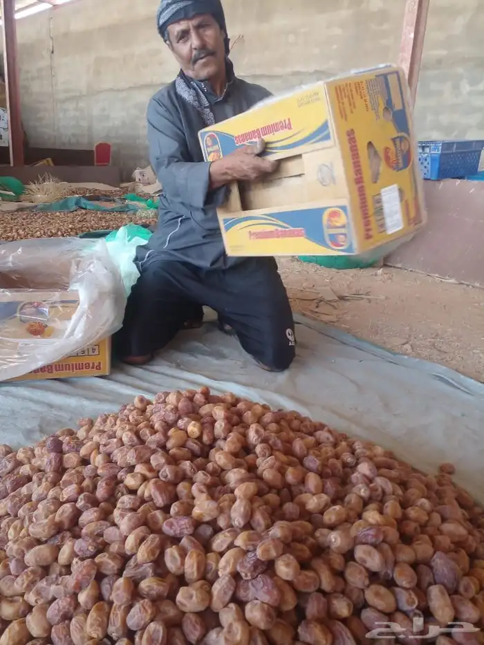 متوفر تمر اخلاص القرنه 2
