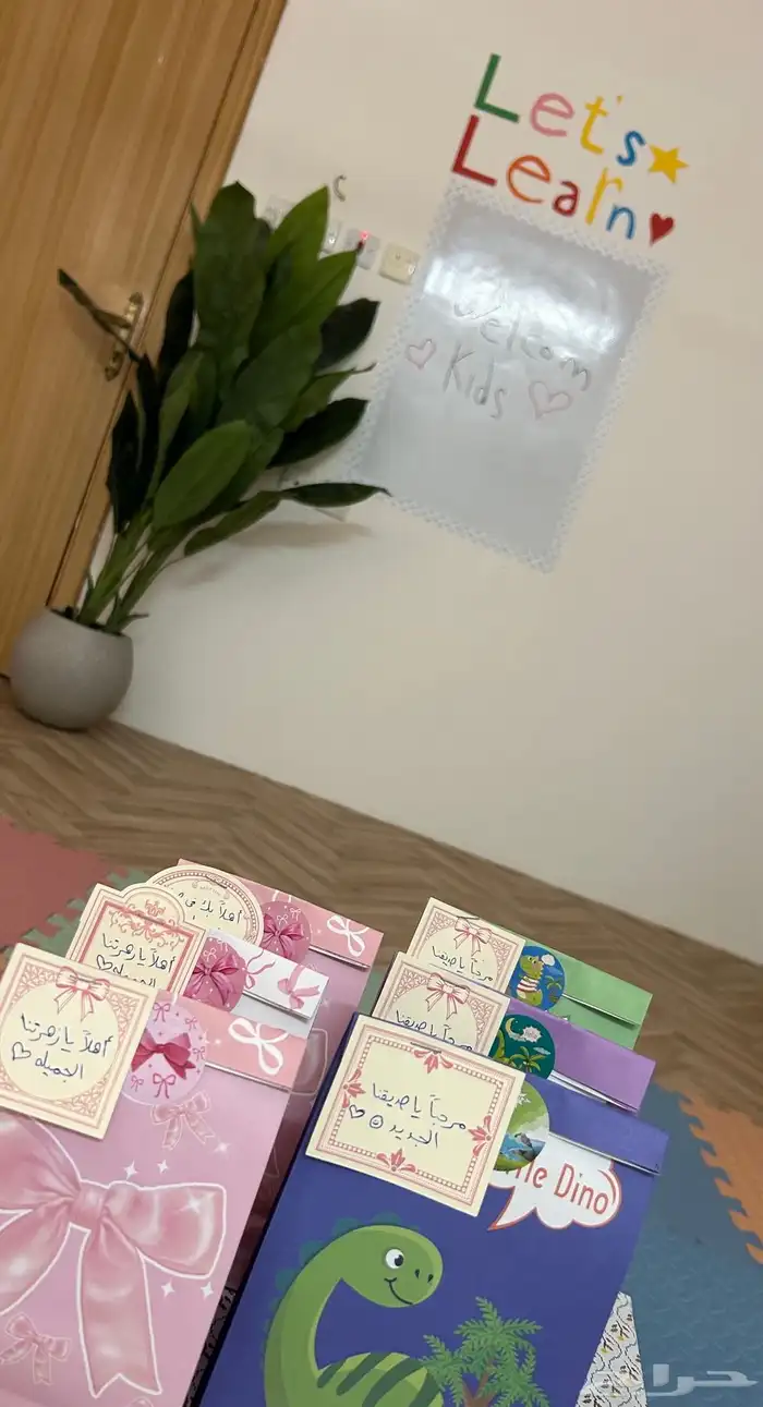 معلمه الدوادمي 0