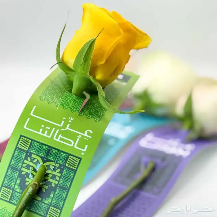توزيعات اليوم الوطني للمدارس الكافيهات 5