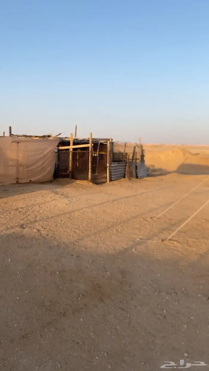 شبكه حلال كامل 8