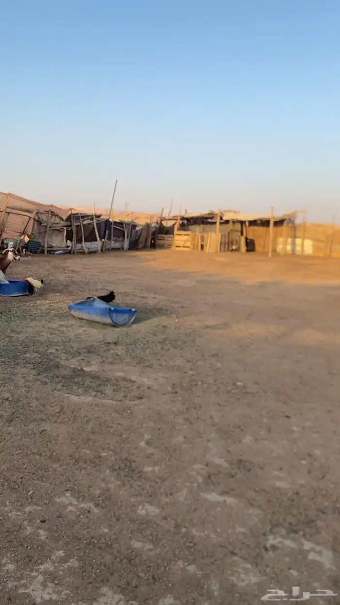 شبكه حلال كامل 3