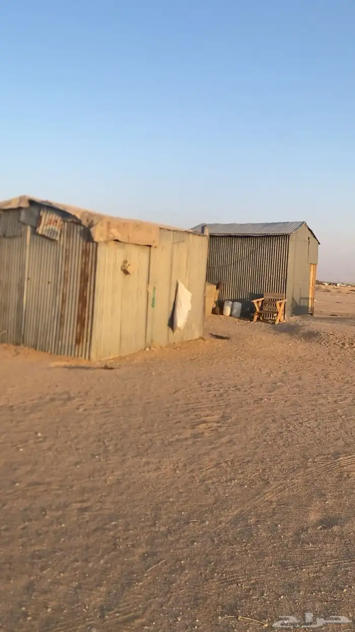 شبكه حلال كامل 13