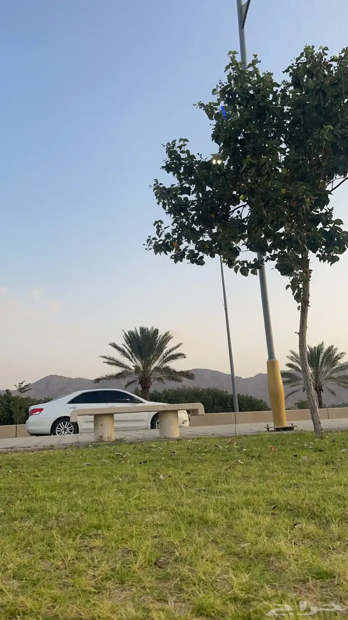 اوريون قراندي 2010 1