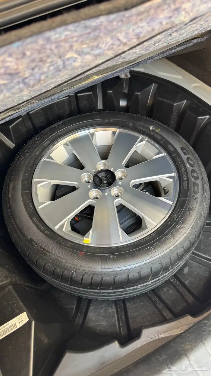 كابرس LS2011 ( تم البيع ) 98