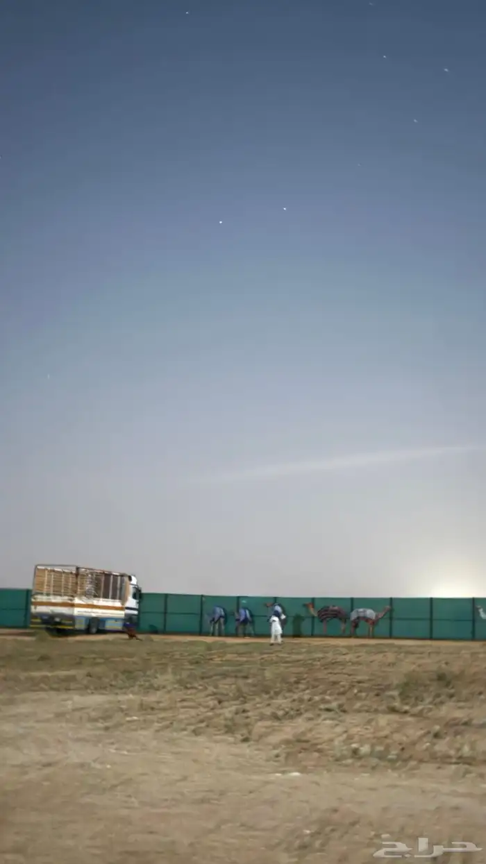 لوري جاهزه ل تحميل الحلال داخل وخارج تبوك . 0