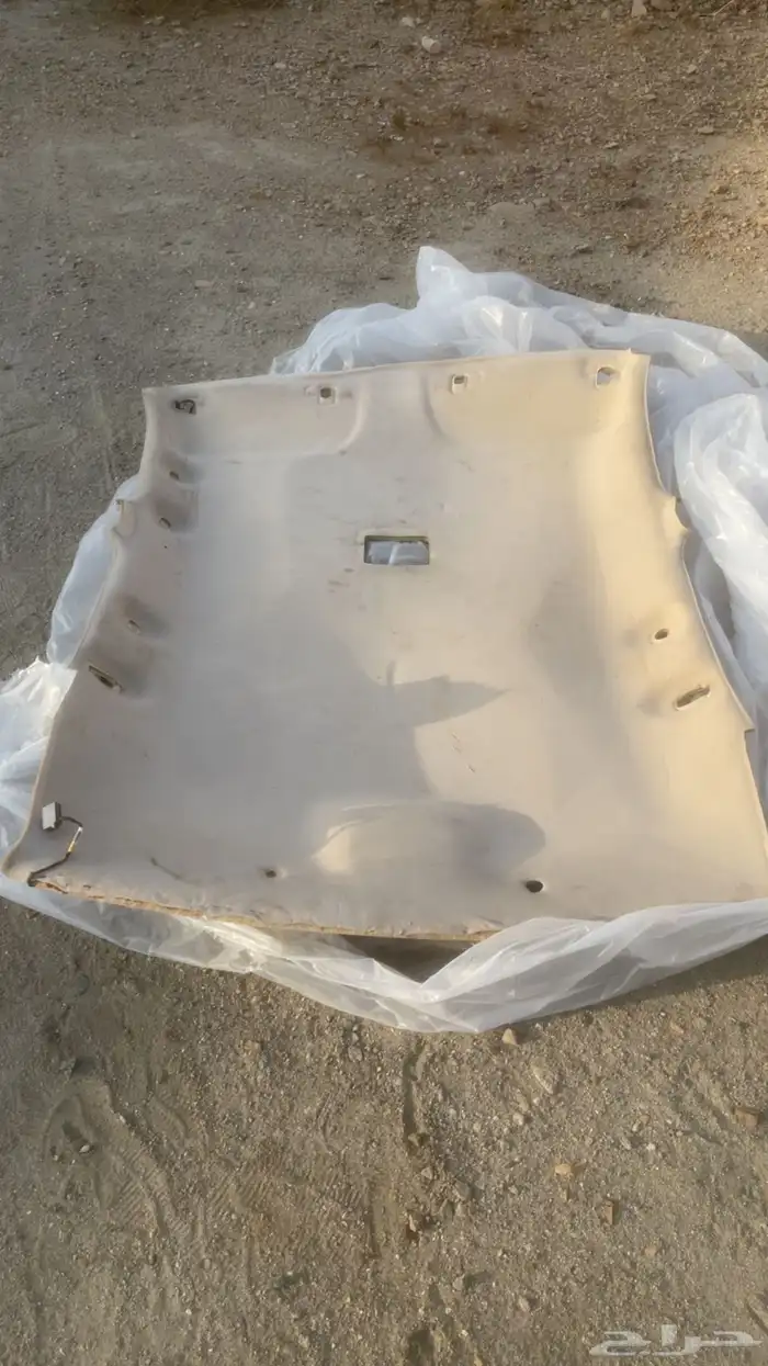 قشرة تندة ماركيز 2008 0