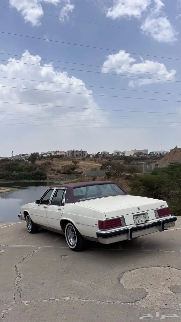 بيوك مجدد 2