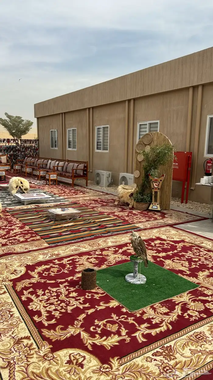 صقور للإيجار والتصوير والايفنتات 0