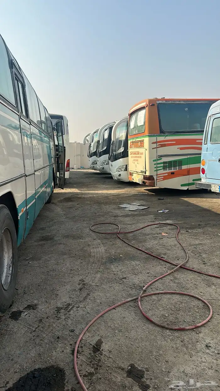 باصات للإيجار الشهري والسنوي نقل العمال والموظفين 4