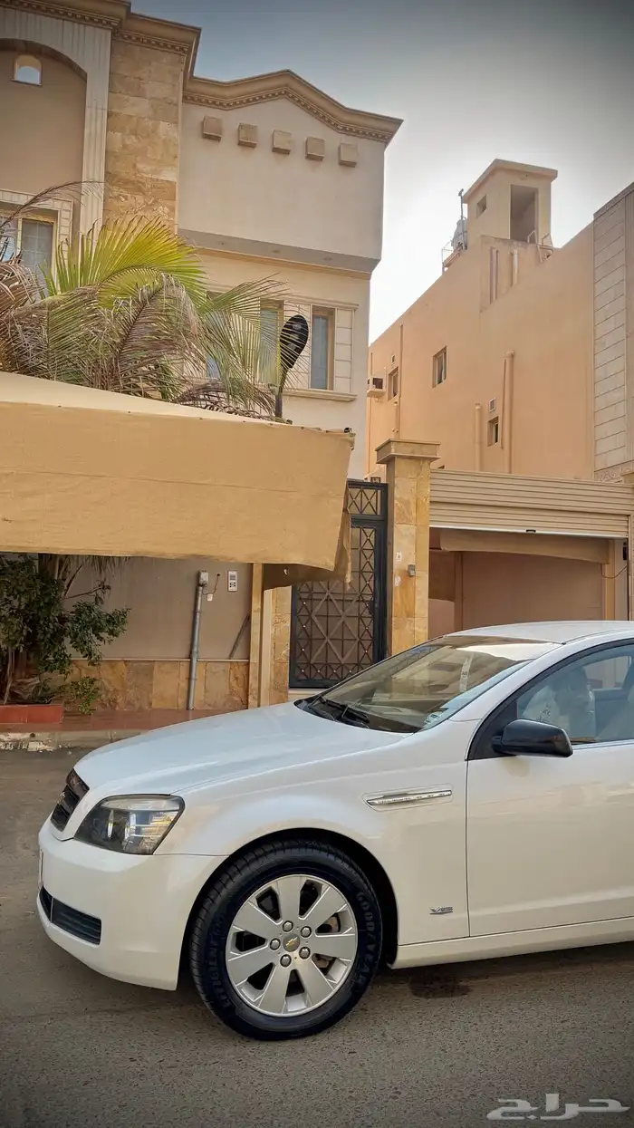 كابرس LS2011 ( تم البيع ) 11