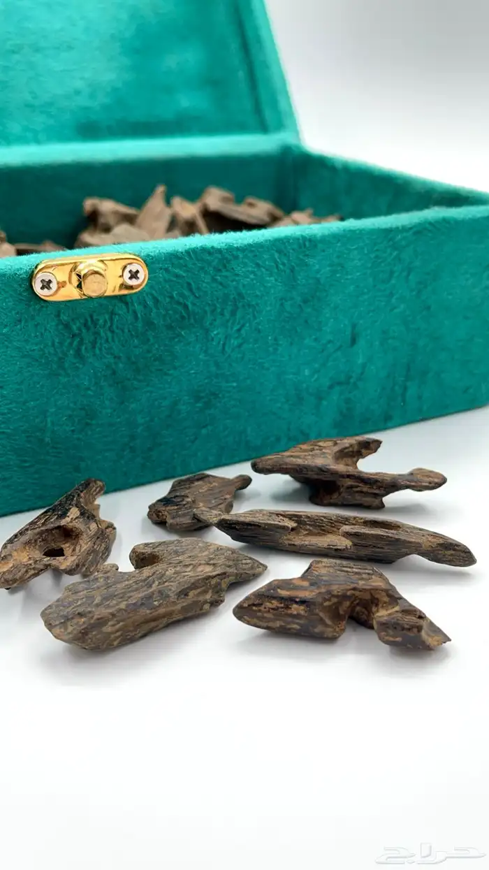 عود كلمنتان محسن 0