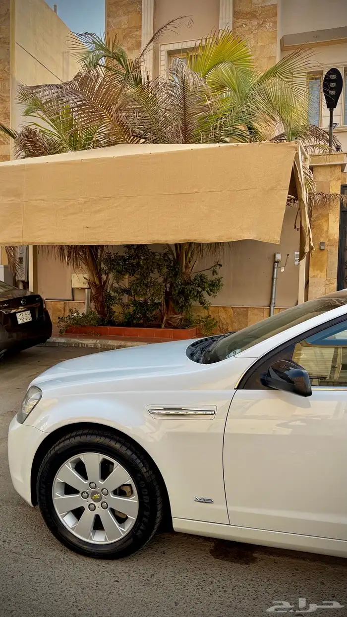 كابرس LS2011 ( تم البيع ) 12