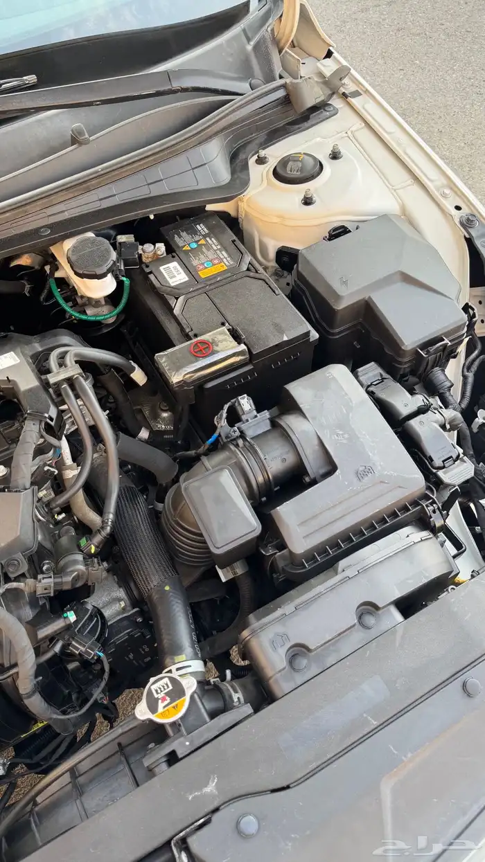 النترا 2021 وارد كوريا (( تم البيع )) 29