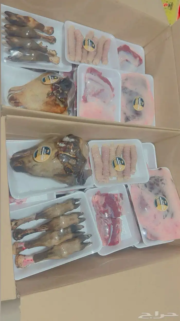 ذبايح حايل 1