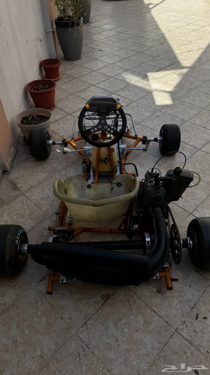 كارتنج rotax125cc 1