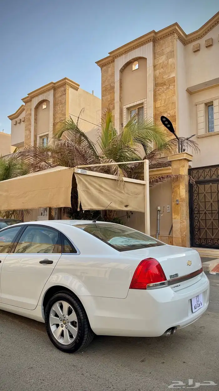 كابرس LS2011 ( تم البيع ) 19