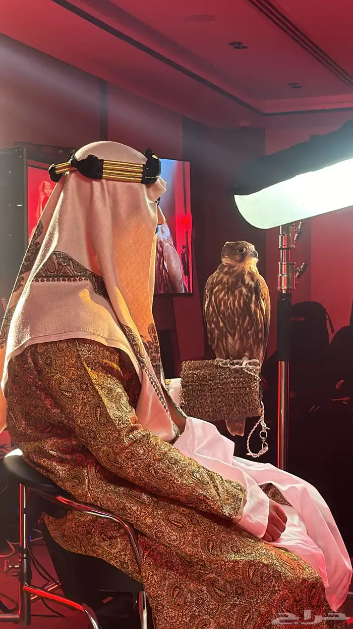 صقور للإيجار والتصوير والايفنتات 4