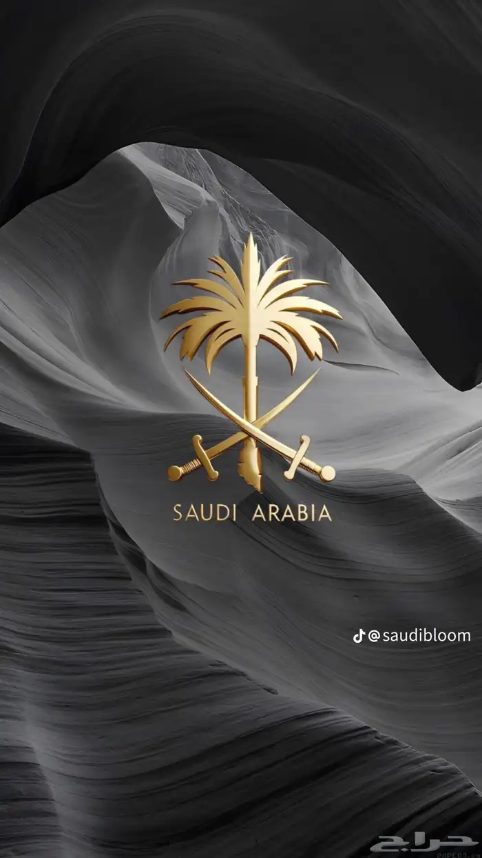 شراء عقار تجاري على طريق ابها الخميس 0