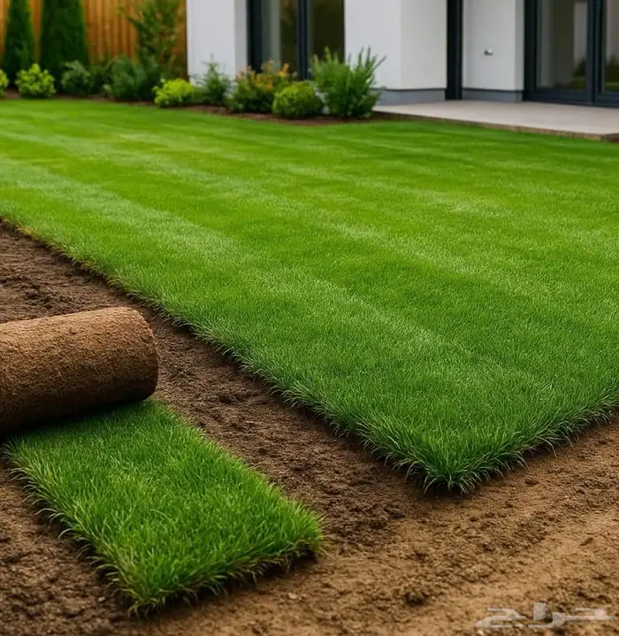 عشب طبيعي   عشب صناعي 0