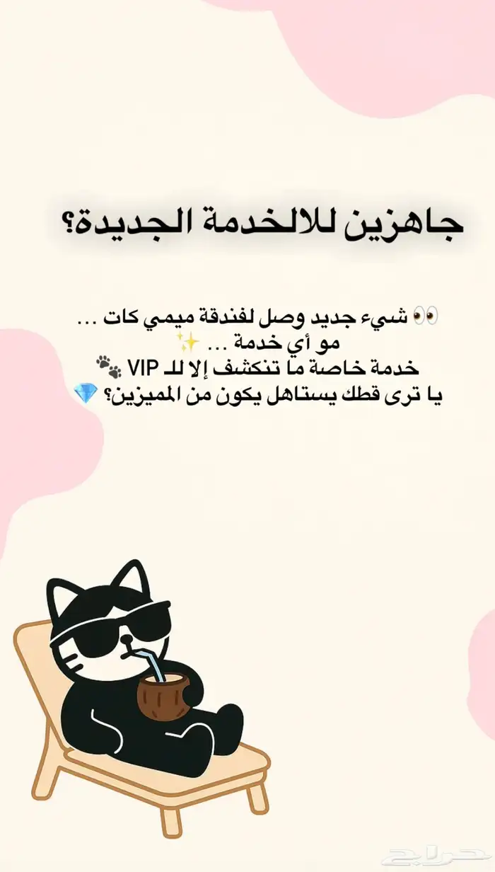 فندقة قطط 2