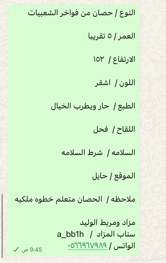 حصان للبيع 1