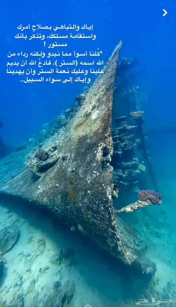 رحلات غوص تجربه غوص تصوير تحت الماء 1