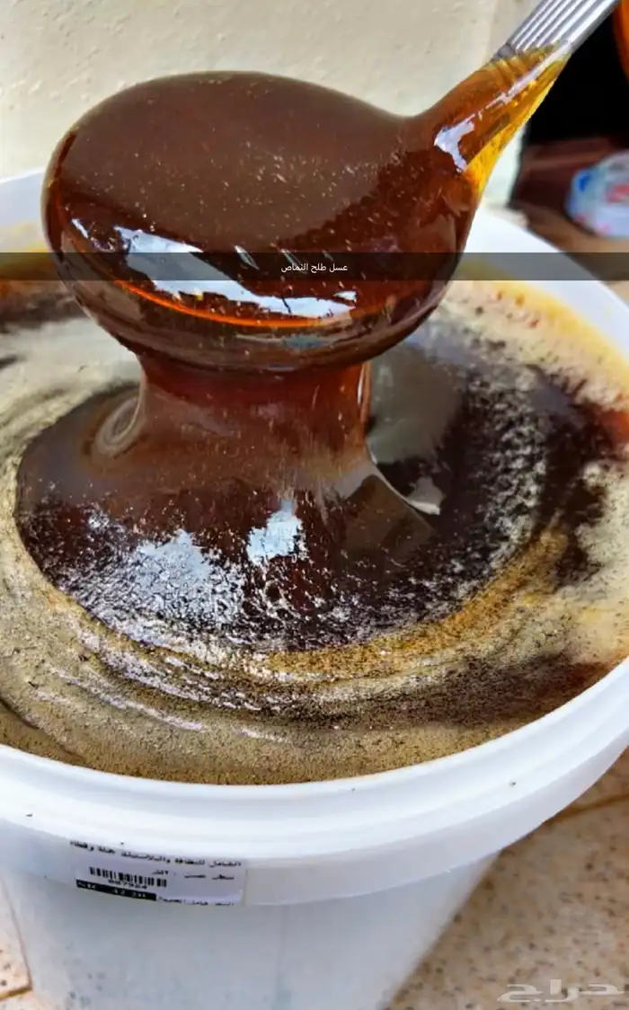 عسل شمع القنفذه 6