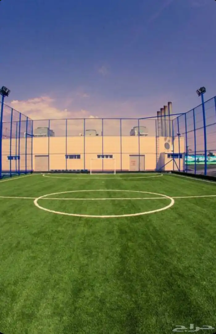 عشب طبيعي   عشب صناعي 2