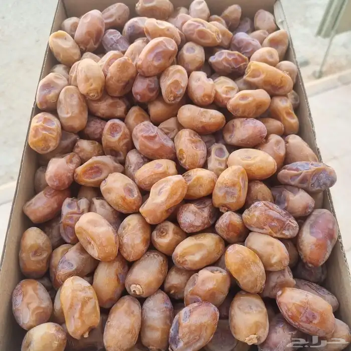 تمور اخلاص فله فاخر جوده عاليه 1