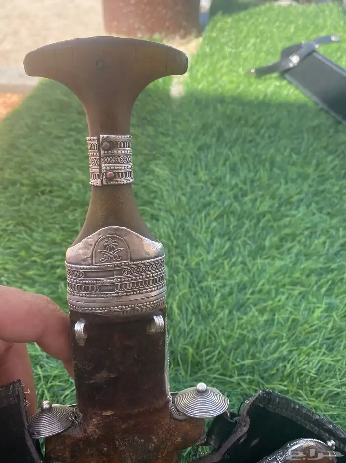جنبيه زراف مشروطه 1
